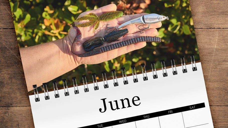 June Staff Picks