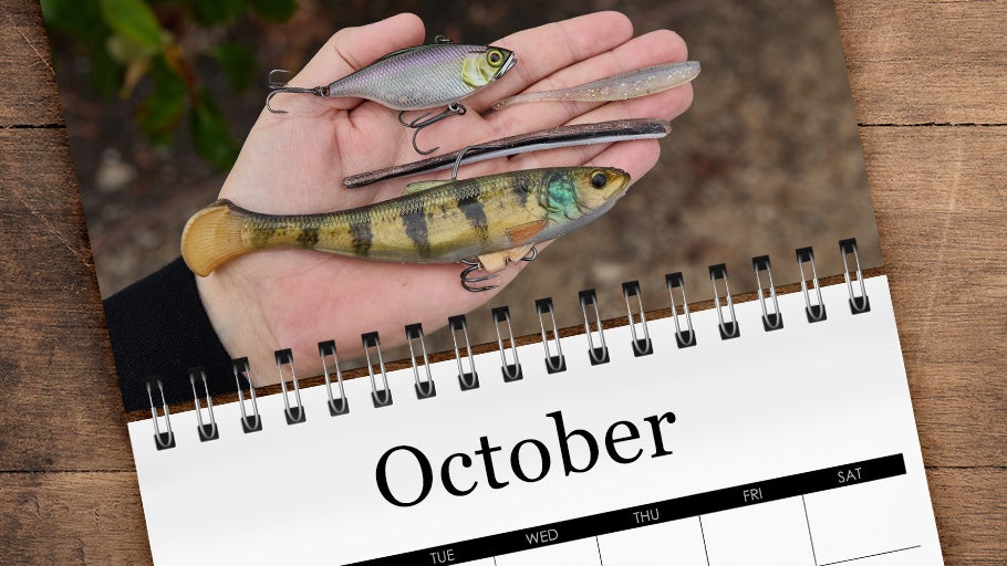 October Staff Picks