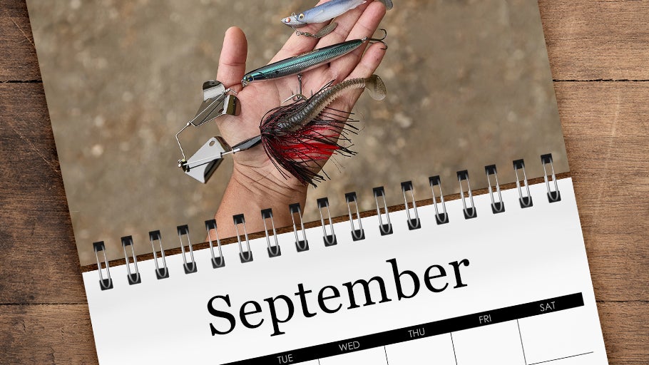 September Staff Picks