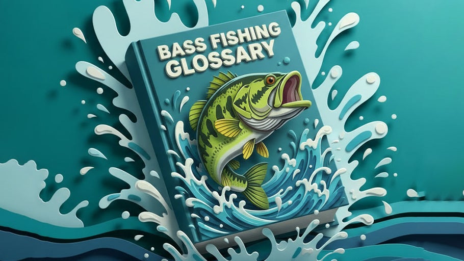 Bass Fishing Glossary