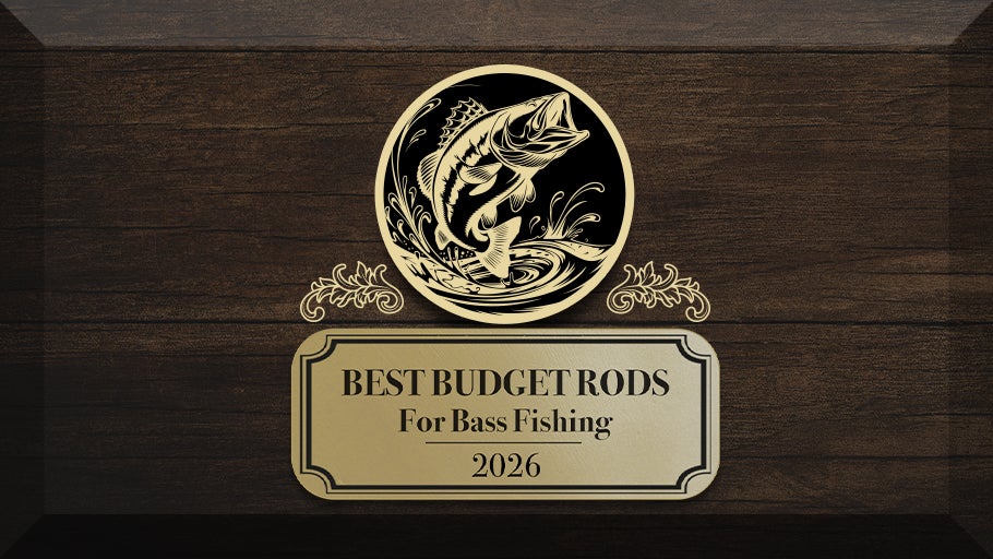 Best Budget Rods of 2026