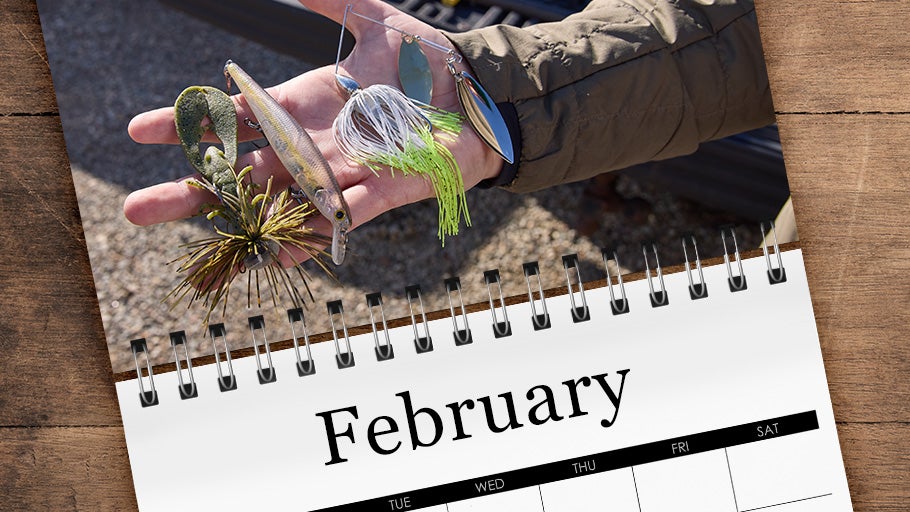 February Staff Picks