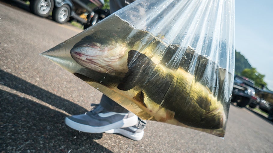 Pro's Picks For Spring Bassin' - Tackle Warehouse