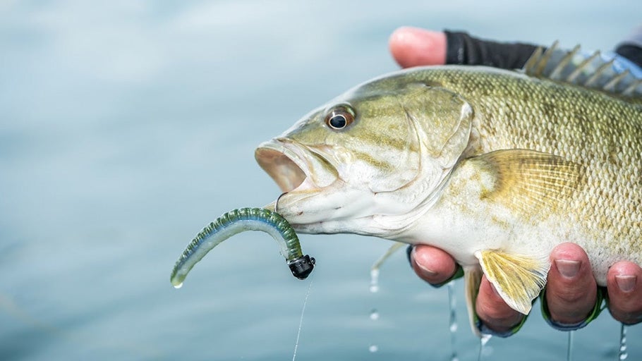 Mister Twister Freshwater Bass Fishing Hooks for sale