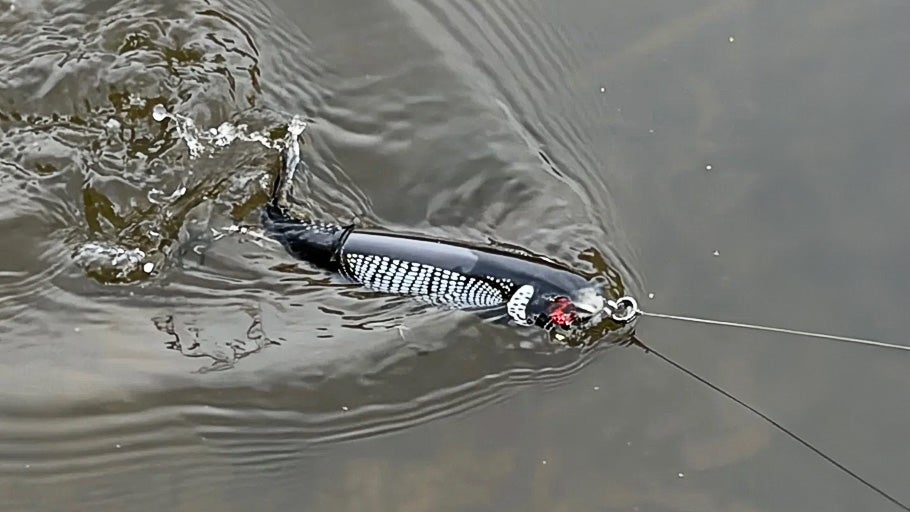 Topwater Plopper Gear Guide