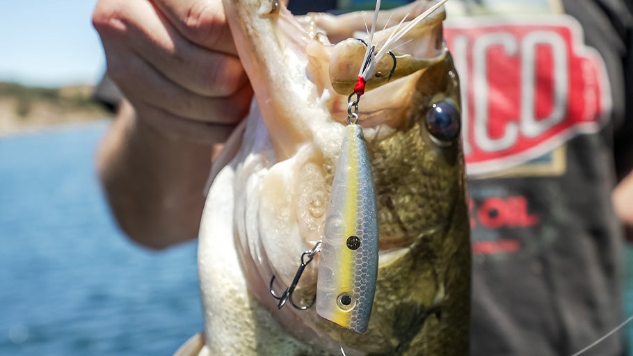 Popper Gear Guide 