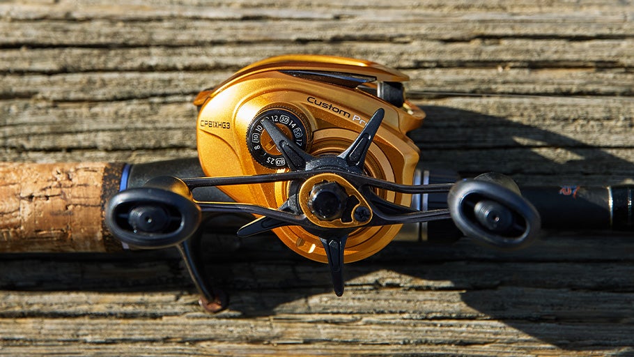 Lew's Custom Pro Gen 3 Casting Reel