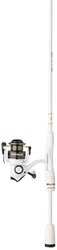 Abu Garcia PRIME21 Spinning Combo