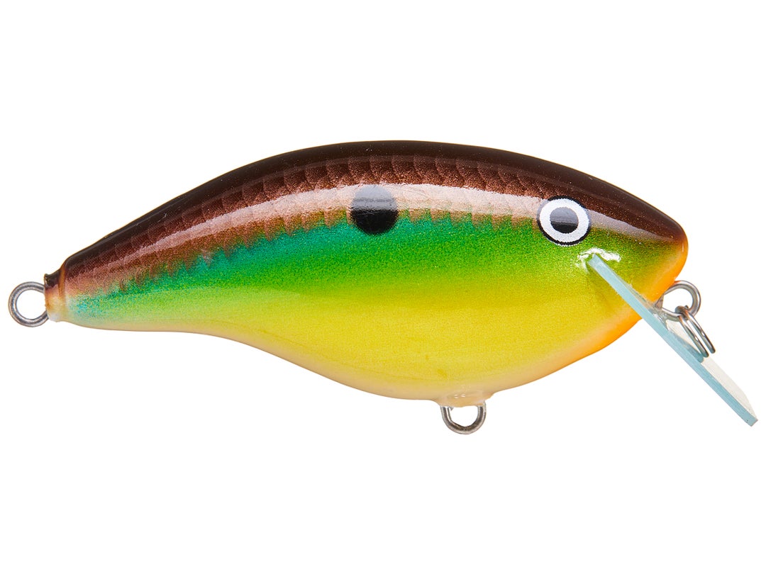 Best New Bass Fishing Crankbait | Viewers' Choice - Rapala OG Big Rocco Crankbaits