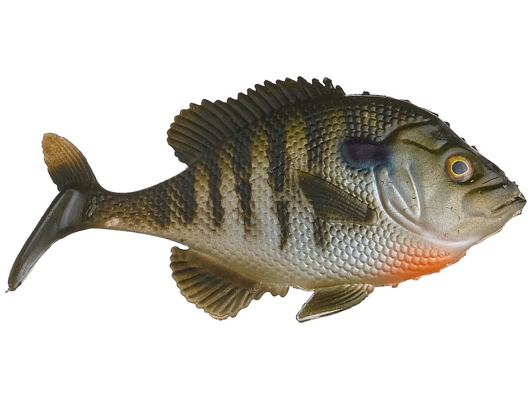 Smash-Tech Custom Baits Bluegill Line-Thru Swimbaits | Tackle Warehouse