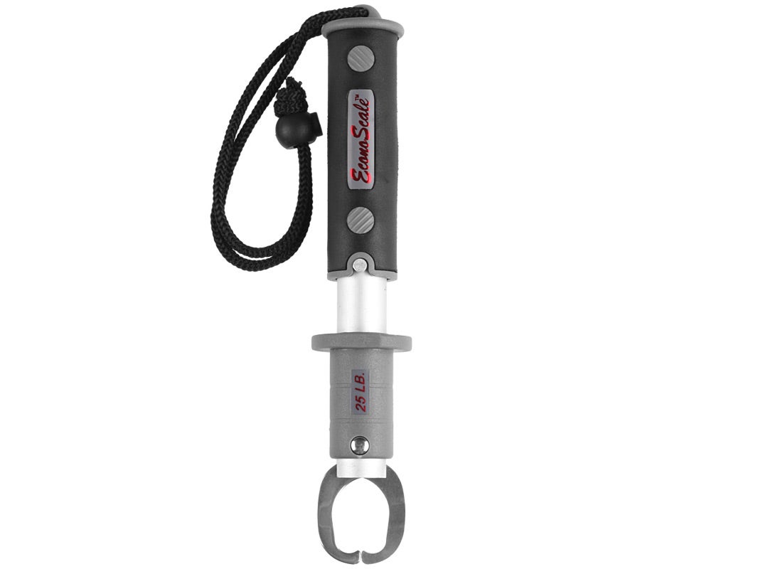 Gambler Evolution Econoscale Digital Scales | Tackle Warehouse