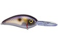 Bomber Next Gen Fat Free Shad Crankbait