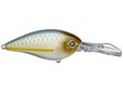 Jackall Digle Crankbait Chartreuse Shad 02