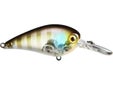 Jackall MC60 MR Ghost Bluegill