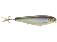 JB Customs Sly Dog 8" Walking Bait