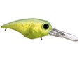 Teckel USA Drunker Crankbait