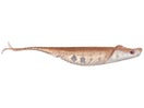 Nomad Cobra Shad Arkansas Shiner 4.5"