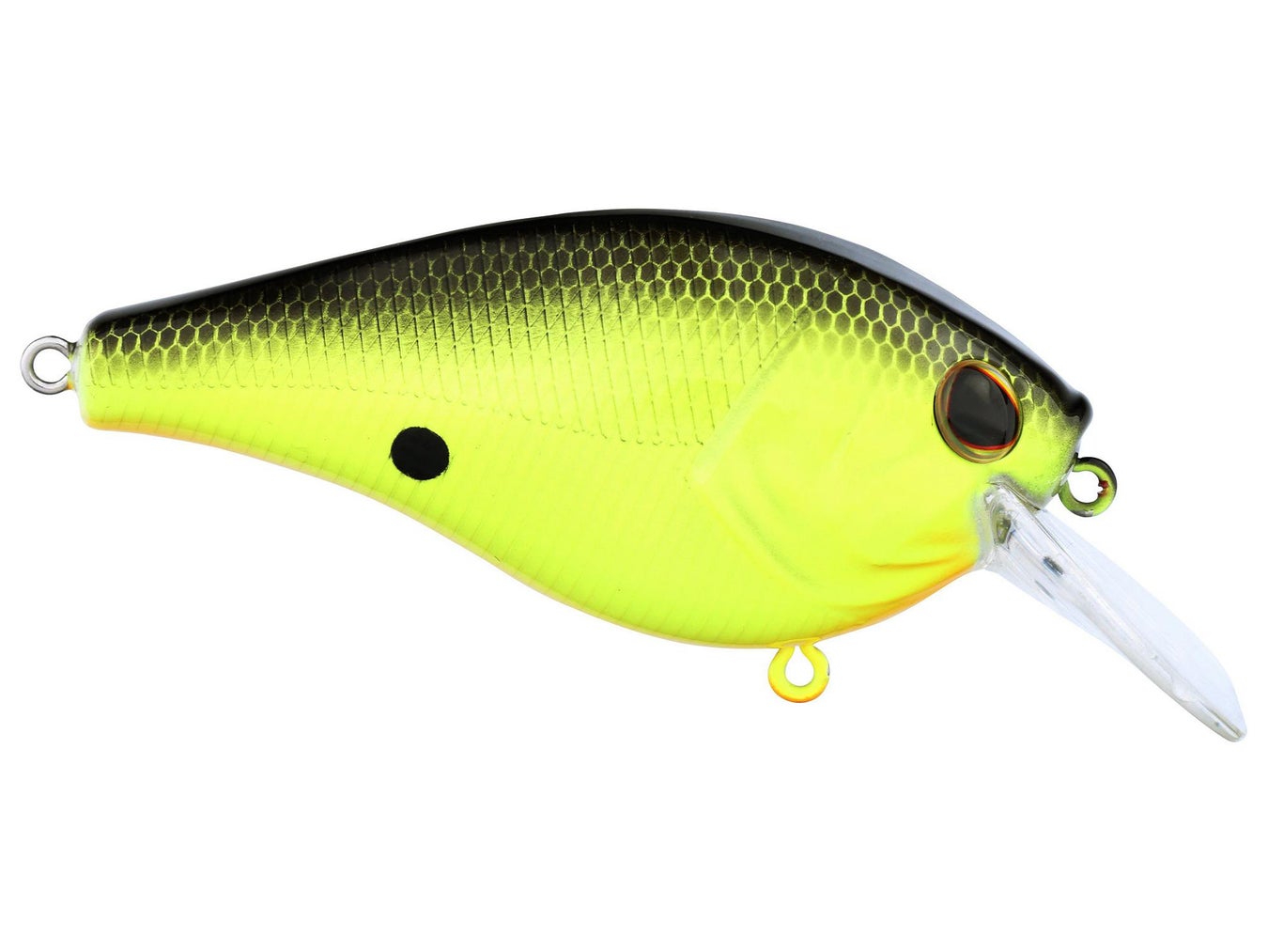 Berkley SquareBull Fishing Hard Bait - Erratic Hunting Action Crankbait Berkley SquareBull Bait