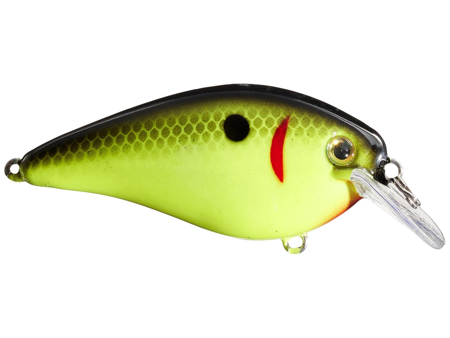 Strike King KVD 1.5 Shallow Square Bill Silent Crankbait Lure - Select Color (s) | UK