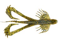 10,000 Fish Zuchi Bug 6pk