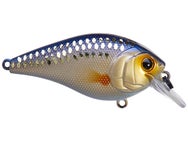 6th Sense Crush Squarebill 50X Crankbait