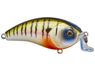 6th Sense Swank 66X Crankbait
