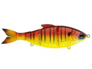 6th Sense Trace 6" Swimbait