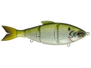 6th Sense Trace 6" Swimbait