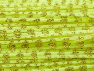 All Terrain Skirts Nature Scale Skirting Material 20pk