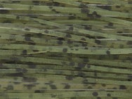 All Terrain Skirts Dalmation Skirting Material 20pk