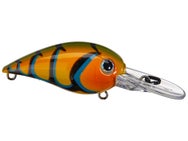 BassMooch Boss Hawg Crankbaits