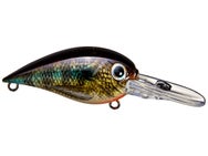 Azuma Brian Snowden Boss Hawg Crankbaits