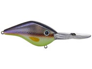 Azuma Timmy Horton Z Boss 10 Crankbaits