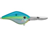 Azuma Timmy Horton Z Boss 10 Crankbaits