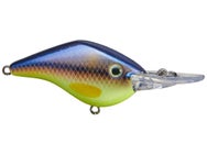 Azuma Timmy Horton Z Boss 06 Crankbaits