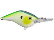 Azuma Timmy Horton Z Boss 06 Crankbaits