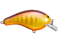 Bagley Balsa B2 Squarebill Crankbait