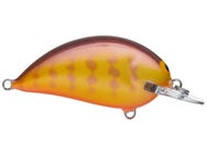Bagley Balsa Sunny B Shallow Diver Crankbait