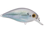 Bass Assets The Kraken 10 Crankbaits
