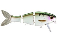 Bucca Brand Bull Wake 5" 