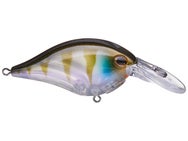 Berkley Dime 4 Crankbait