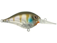 Berkley Dime 6 Crankbait