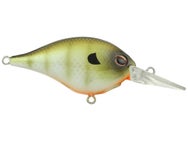 Berkley Dime 6 Crankbait