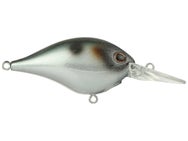 Berkley Dime 6 Crankbait