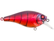 Berkley Squarebull 5.5 Crankbait