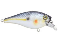 Berkley Squarebull 3.5 Crankbait