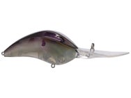 Bill Lewis DR24 Crankbait