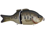 Baitsanity Explorer Gill Glide Bait