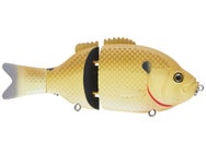 Baitsanity Explorer Gill Glide Bait