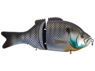Baitsanity Explorer Gill Glide Bait